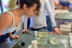 PXL_20250616_102610537.PORTRAIT