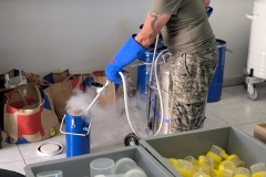 PXL_20250616_121523866.PORTRAIT