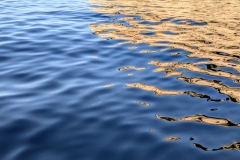 PXL_20250617_0635448342