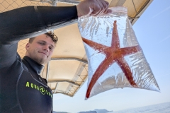 PXL_20250617_071908535