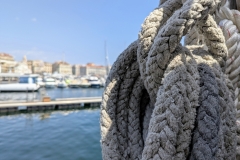 PXL_20250617_1314285352