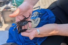 PXL_20250619_082056445.PORTRAIT