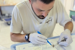 PXL_20250619_150334005.PORTRAIT