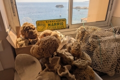 PXL_20250620_132903628