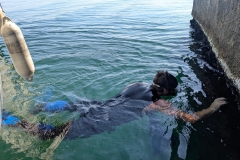 original_f35fa64b-7711-422c-ad88-cc40f2f3ce66_PXL_20250619_080009721