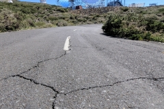 PXL_20250429_1515069432