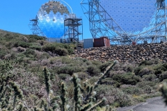 PXL_20250429_151601705