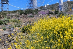 PXL_20250429_1521174312