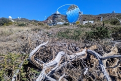 PXL_20250429_152407854