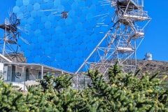 PXL_20250429_170007772