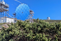 PXL_20250429_170018641