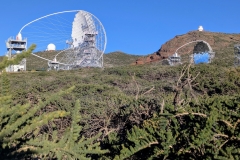 PXL_20250429_1851154602