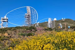 PXL_20250429_185545391