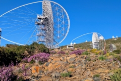 PXL_20250429_185815575