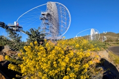 PXL_20250429_185951164