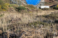 PXL_20250429_190311356