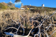 PXL_20250429_190346225