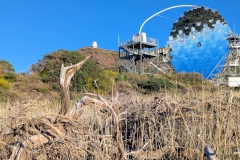 PXL_20250429_190401796