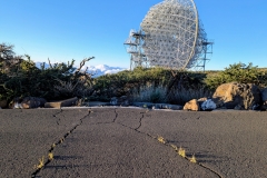 PXL_20250429_191655589