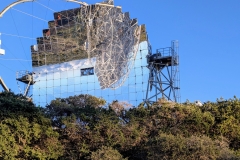 PXL_20250429_1920583202