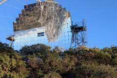 PXL_20250429_1921380812