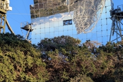 PXL_20250429_1921426372