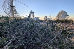 PXL_20250429_1923059362