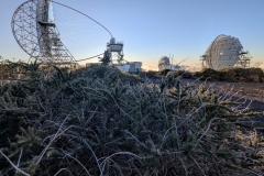 PXL_20250429_1923136962