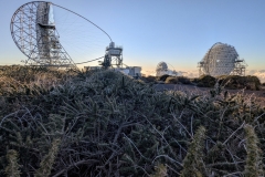 PXL_20250429_1923290962