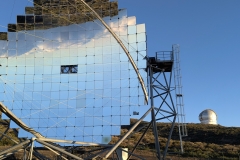 PXL_20250429_1925059892