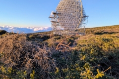 PXL_20250429_193026413