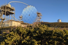 PXL_20250429_1931011552