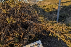 PXL_20250429_193245155