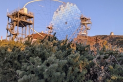 PXL_20250429_1939329742