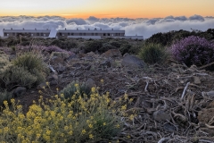 PXL_20250429_1949473782