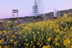 PXL_20250429_195136384