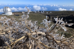 PXL_20250430_085118809