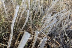 PXL_20250430_085415971