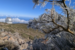 PXL_20250430_085712941