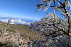 PXL_20250430_085720701