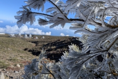 PXL_20250430_085810156