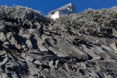 PXL_20250430_090222022