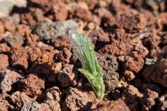 PXL_20250430_092647026.PORTRAIT