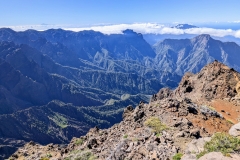 PXL_20250430_0952324452