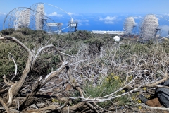 PXL_20250430_1035422922