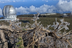 original_018a3c6a-f2e0-4c0c-b5c6-ee155bf307f5_PXL_20250430_085003241