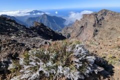 original_16f86978-5d85-472b-b313-ebb40109a928_PXL_20250430_093643208