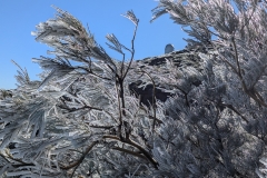 original_1f913222-afd5-4d8a-bee2-58ac608ec150_PXL_20250430_090052455