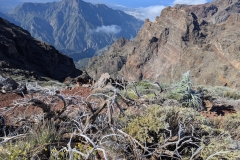 original_3c5b0aeb-49aa-467a-9fbf-f480b6f7d108_PXL_20250430_092605461