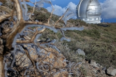 original_3fbd6d4a-ef13-4506-b991-6170ab6716e4_PXL_20250430_090000940